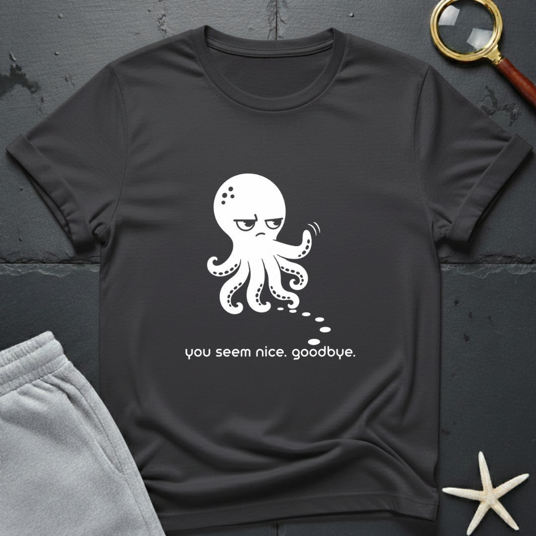 You Seem Nice, Goodbye T-Shirt